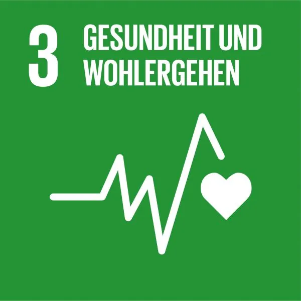 SDG Icon DE 03