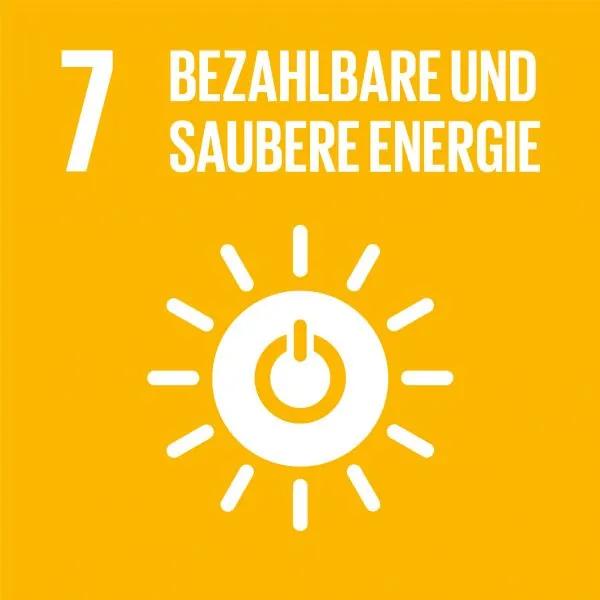 SDG Icon DE 07