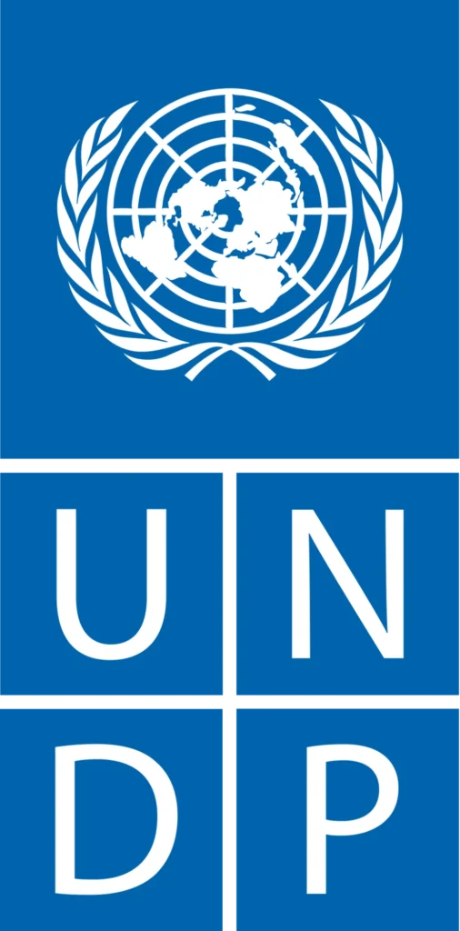 Logo UNDP
